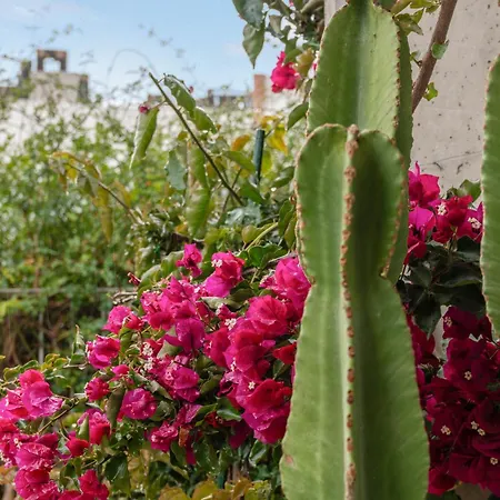Bonita Planta Baja En Estepona
